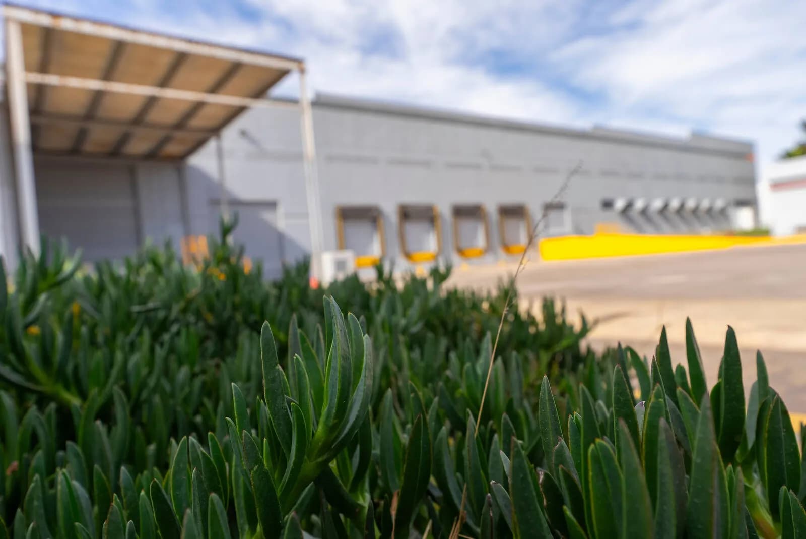 Nave Industrial de 7,991 m² / 86,014 sq.ft en San Luis Potosi, San Luis Potosí 3