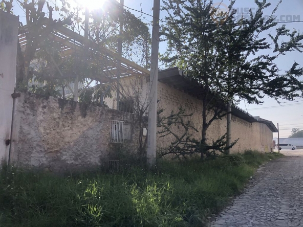bodega1400m217