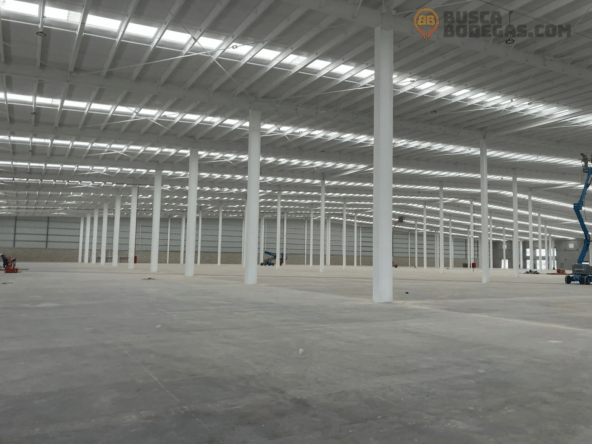 bodega_elsalto3-11