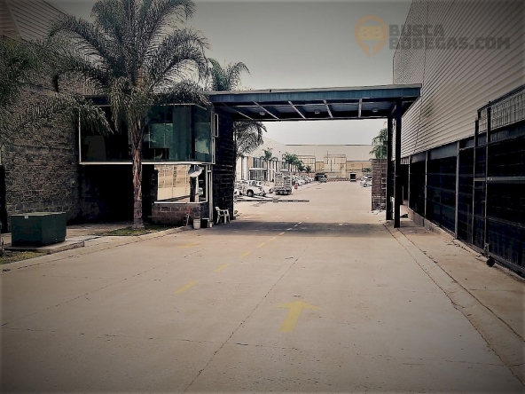 bodega_6268_03