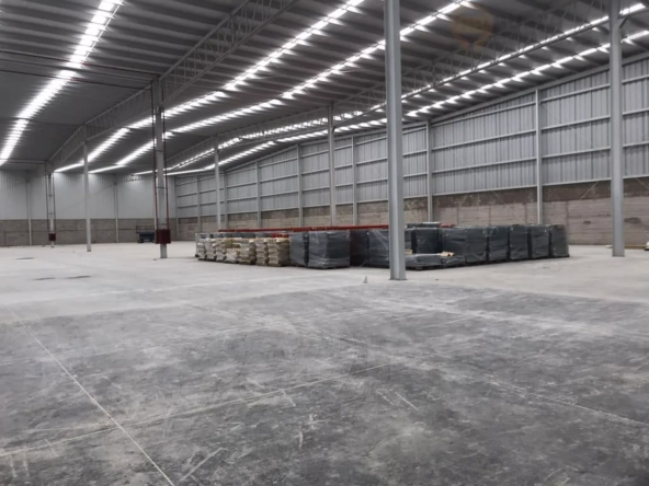 bodega_alba_park_09