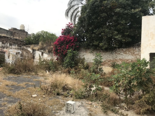 terreno-zonavestir-10